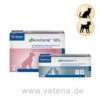 Virbac Anxitane Hund & Katze -Vetena Geschäft virbac anxitane hund katze